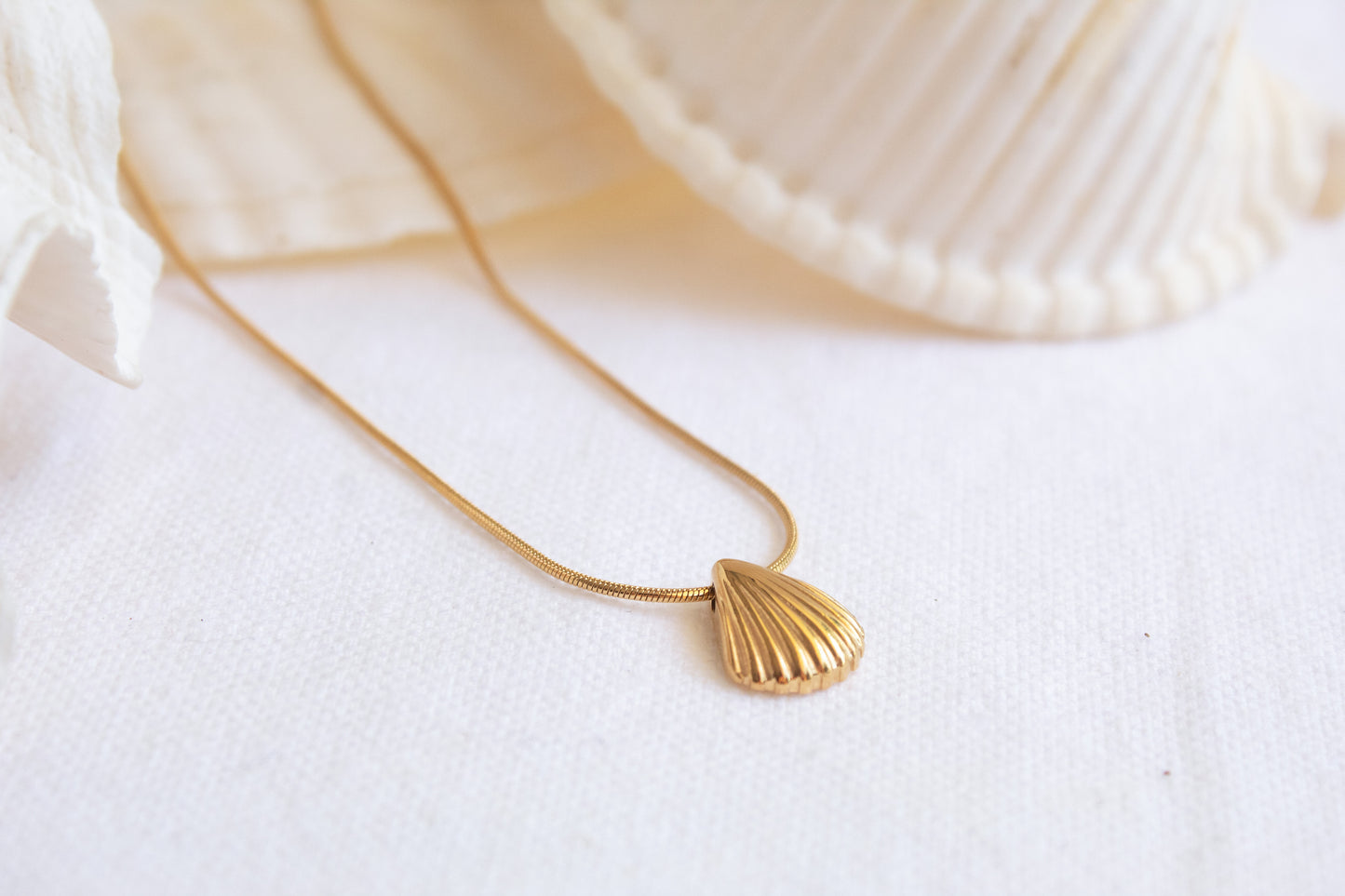 Fan Shell Necklace