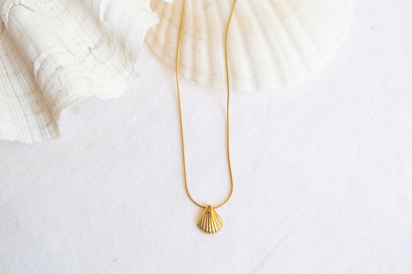 Fan Shell Necklace