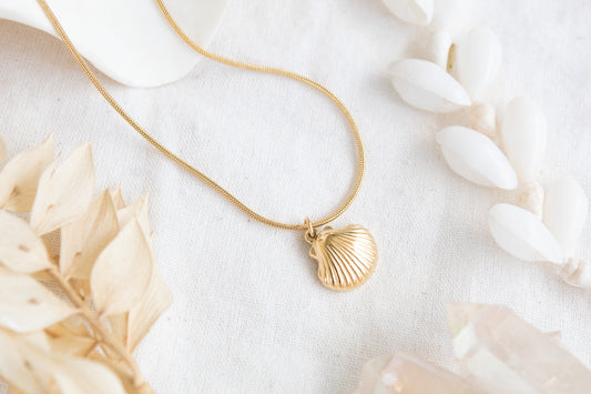 Ocean Shell Necklace