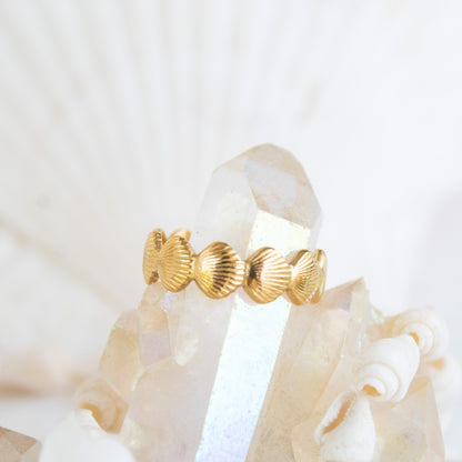 Gold sea shell ring on crystal