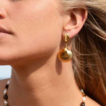 Golden Shore seashell earrings