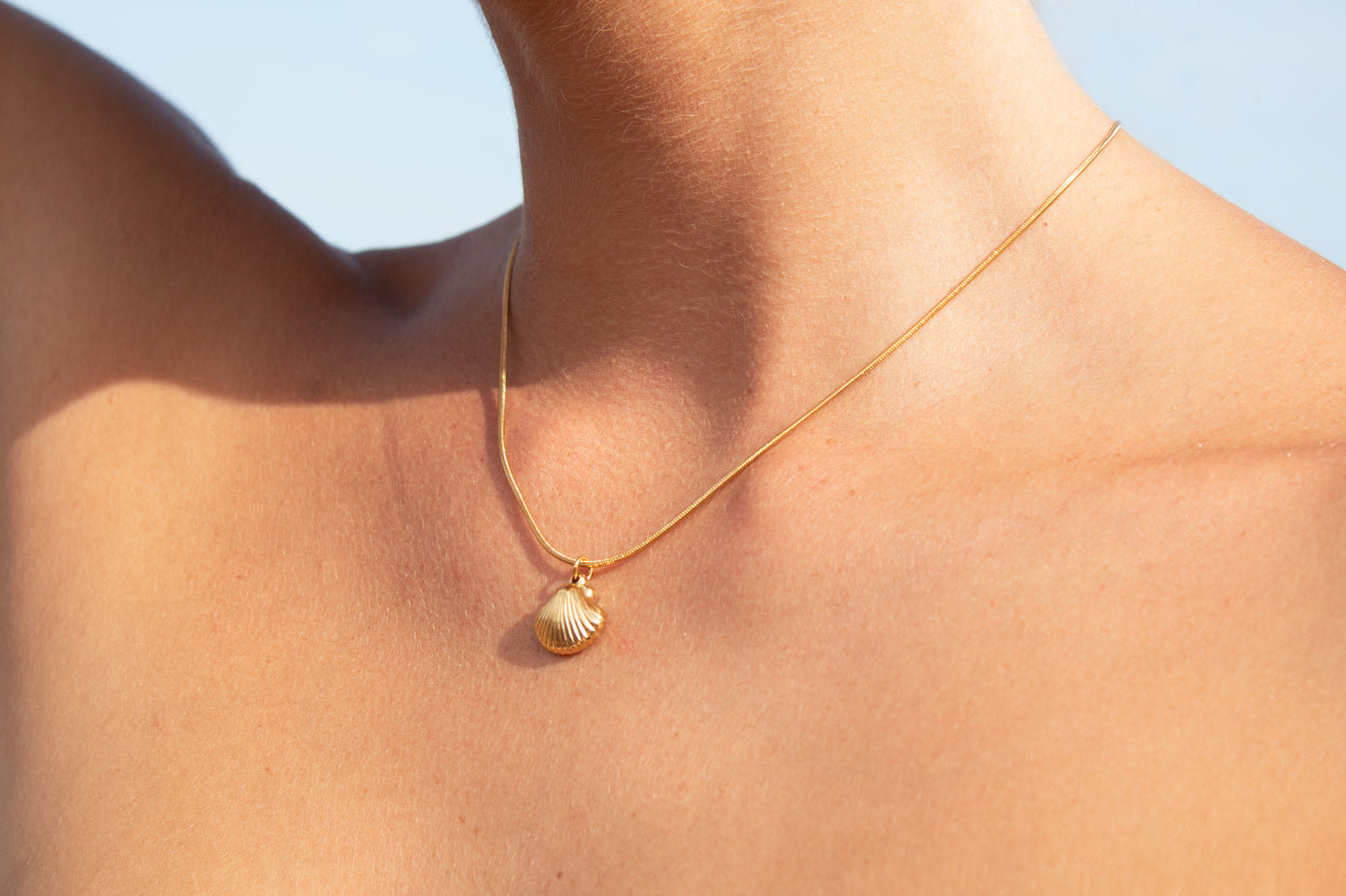 Ocean Shell Necklace