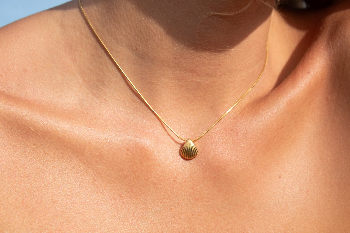 Fan Shell Necklace