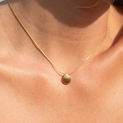 Gold fan shell necklace
