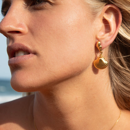 Gold seashell drop earrings