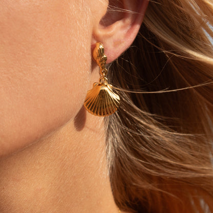 Gold seashell drop earrings