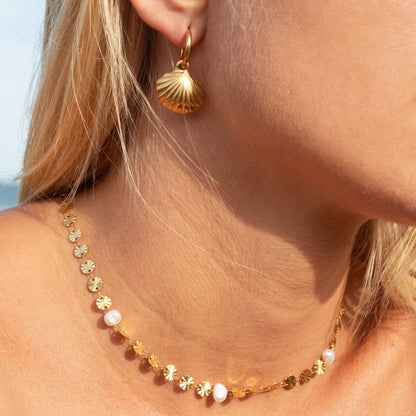 Gold seashell earrings