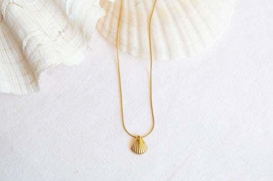 Fan Shell Necklace