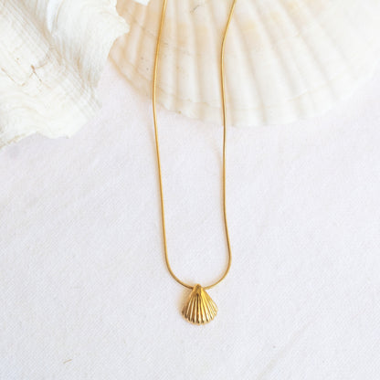 Gold fan shell necklace