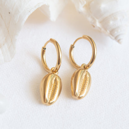 Golden cowrie shell hoop earrings