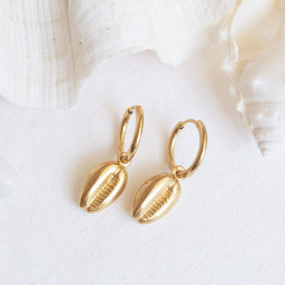 Golden cowrie shell hoop earrings