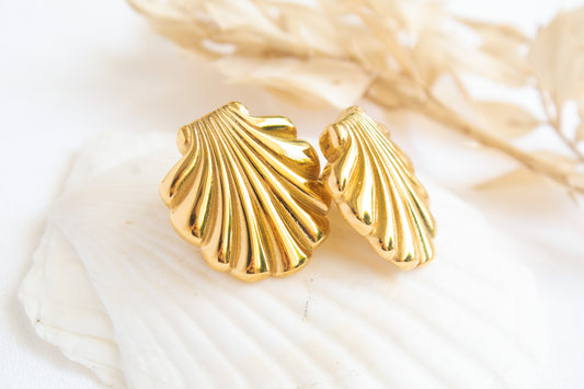 Sea Clam Earrings