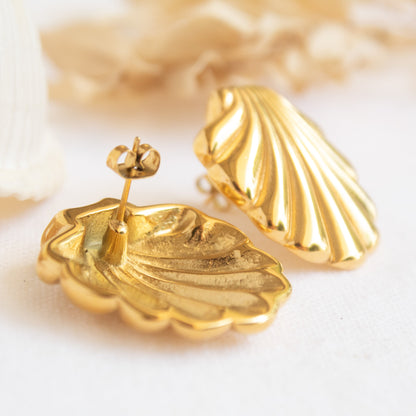 Gold seashell stud earrings