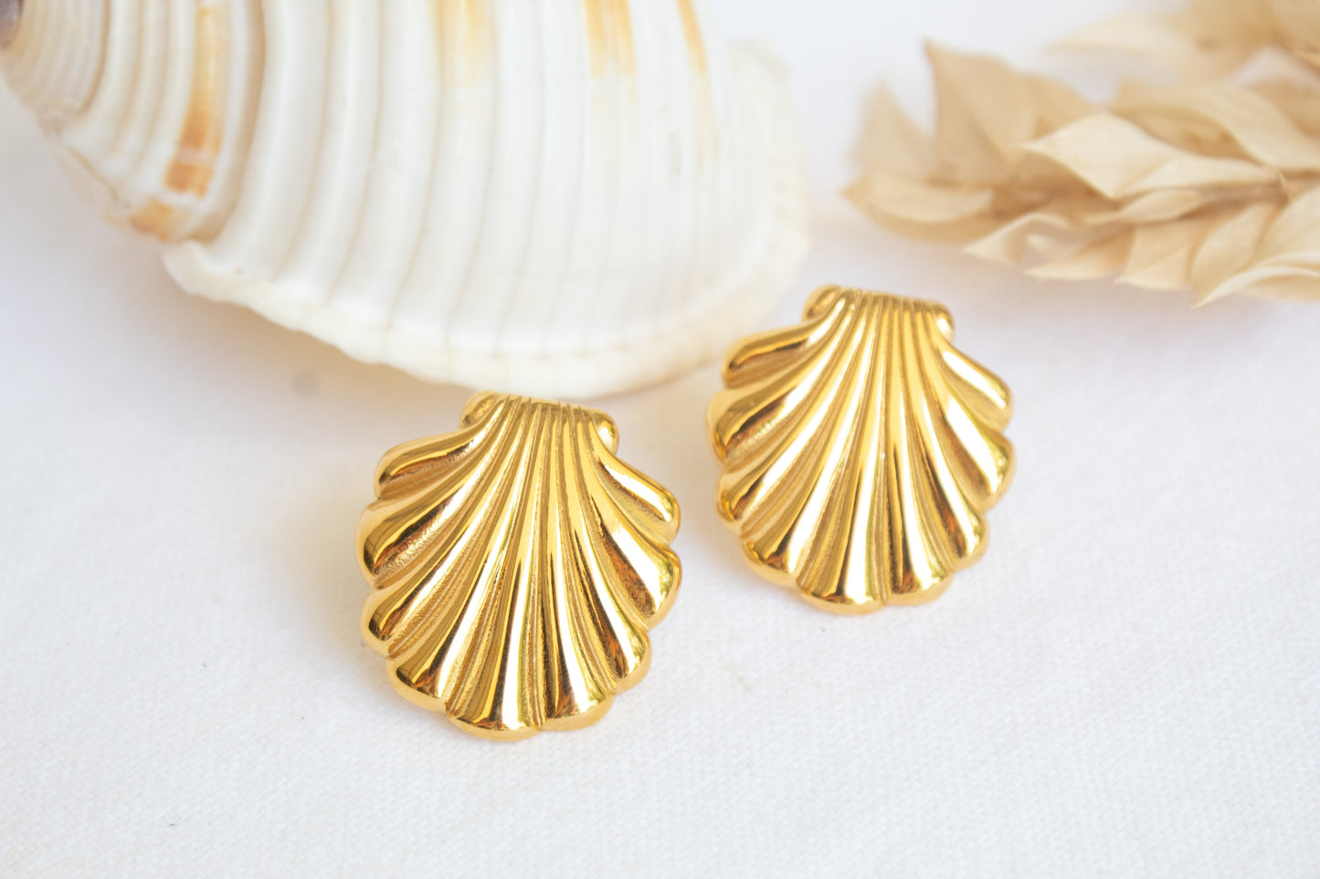 Sea Clam Earrings