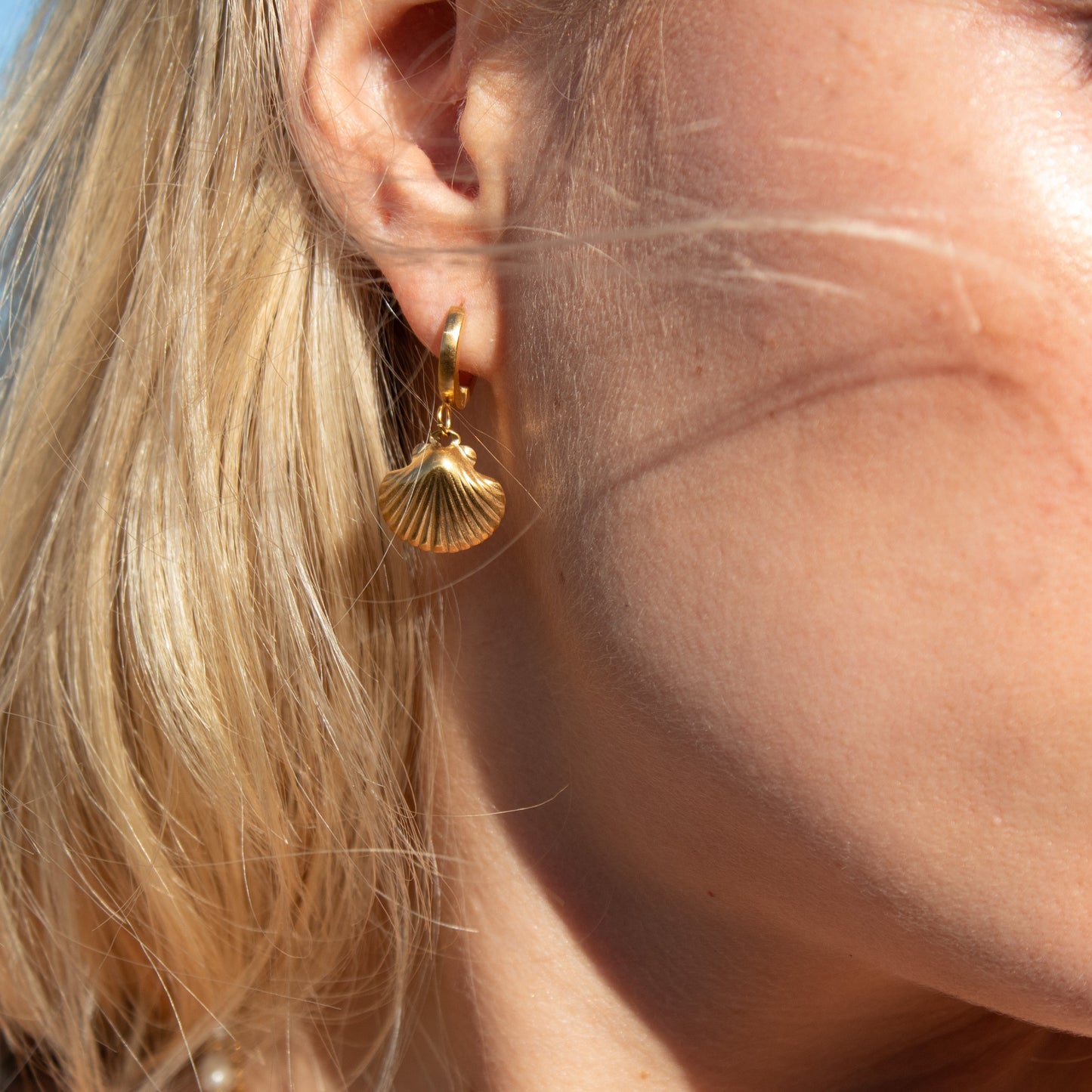 Sea Shell Earrings