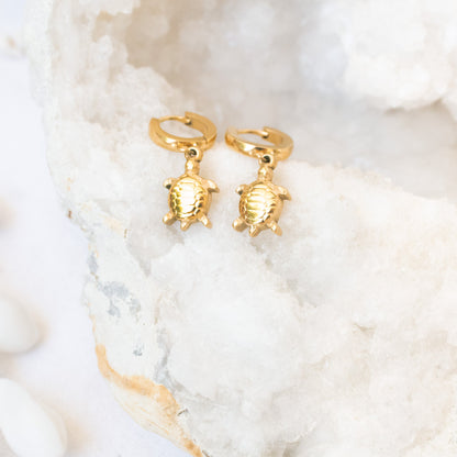 Gold turtle hoop earrings