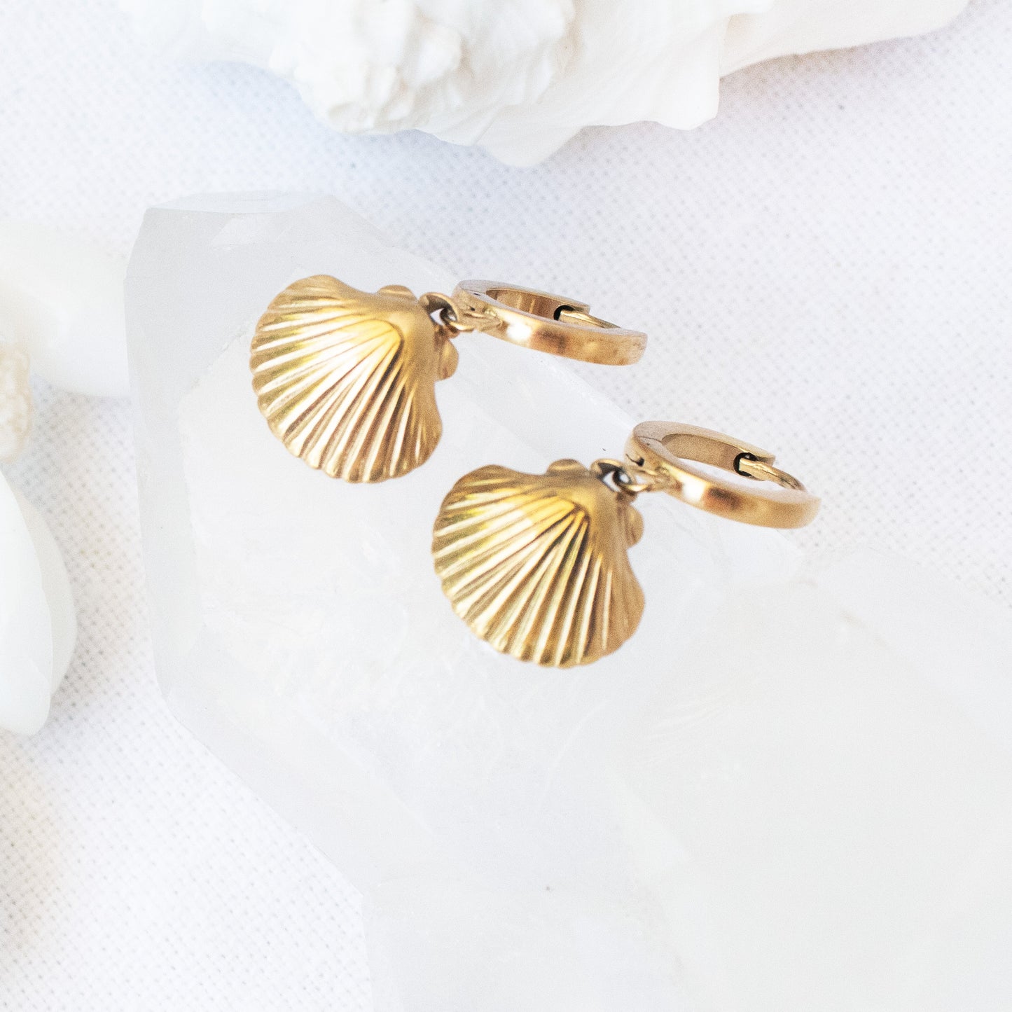 Sea Shell Earrings