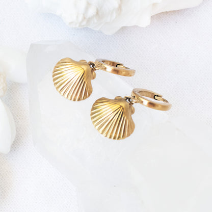 Sea Shell Earrings