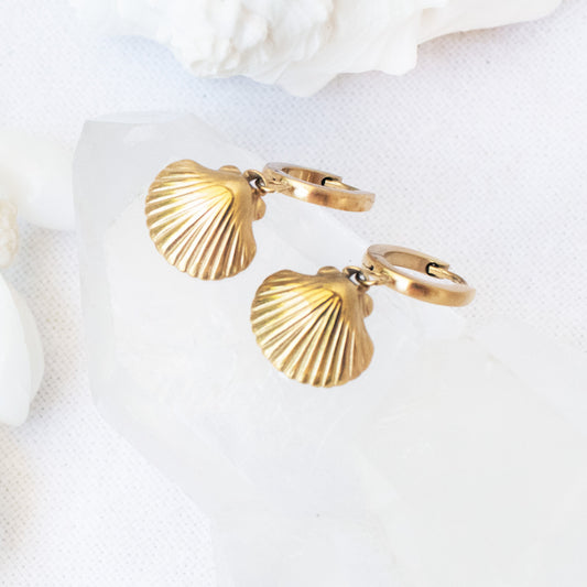 Sea Shell Earrings