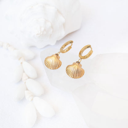 Sea Shell Earrings