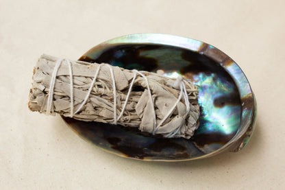 Polished abalone shell with sage bundle