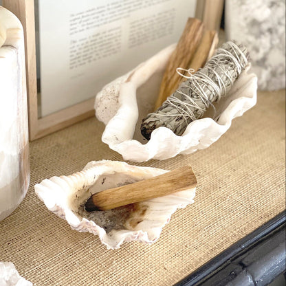 Small smudge stick and palo santo in shell