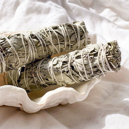 Two sage smudge sticks in a shell
